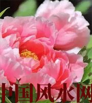 铜陵预示你财运上升，姻缘可成的梦境，快来看看吧！